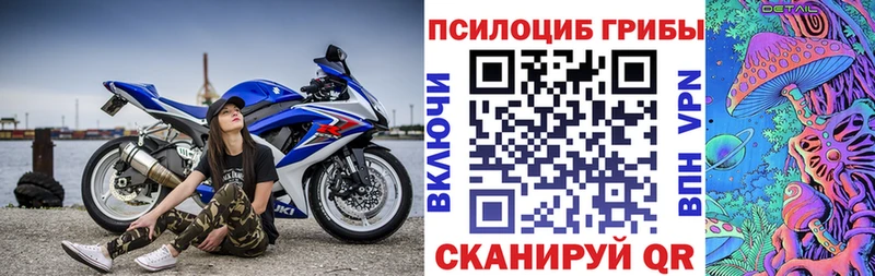 это официальный сайт  Вязьма  Галлюциногенные грибы Cubensis 