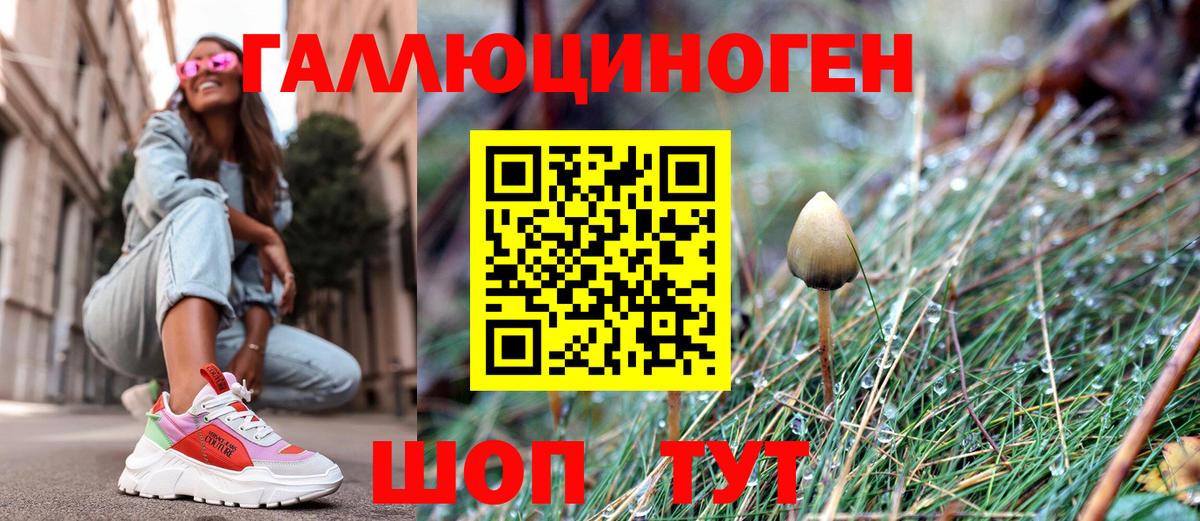 Псилоцибиновые грибы мицелий Вязьма